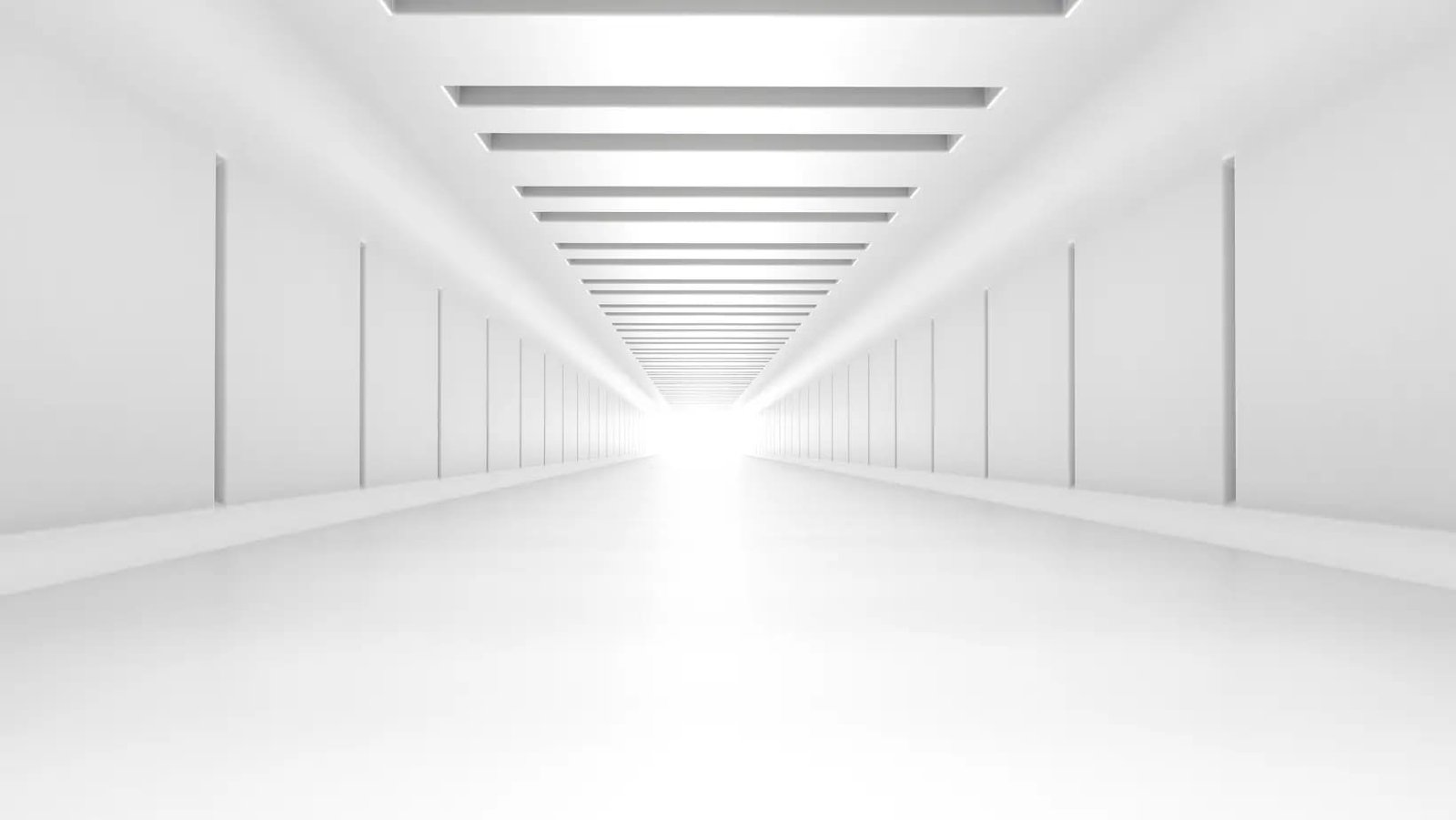 Notre Vision image